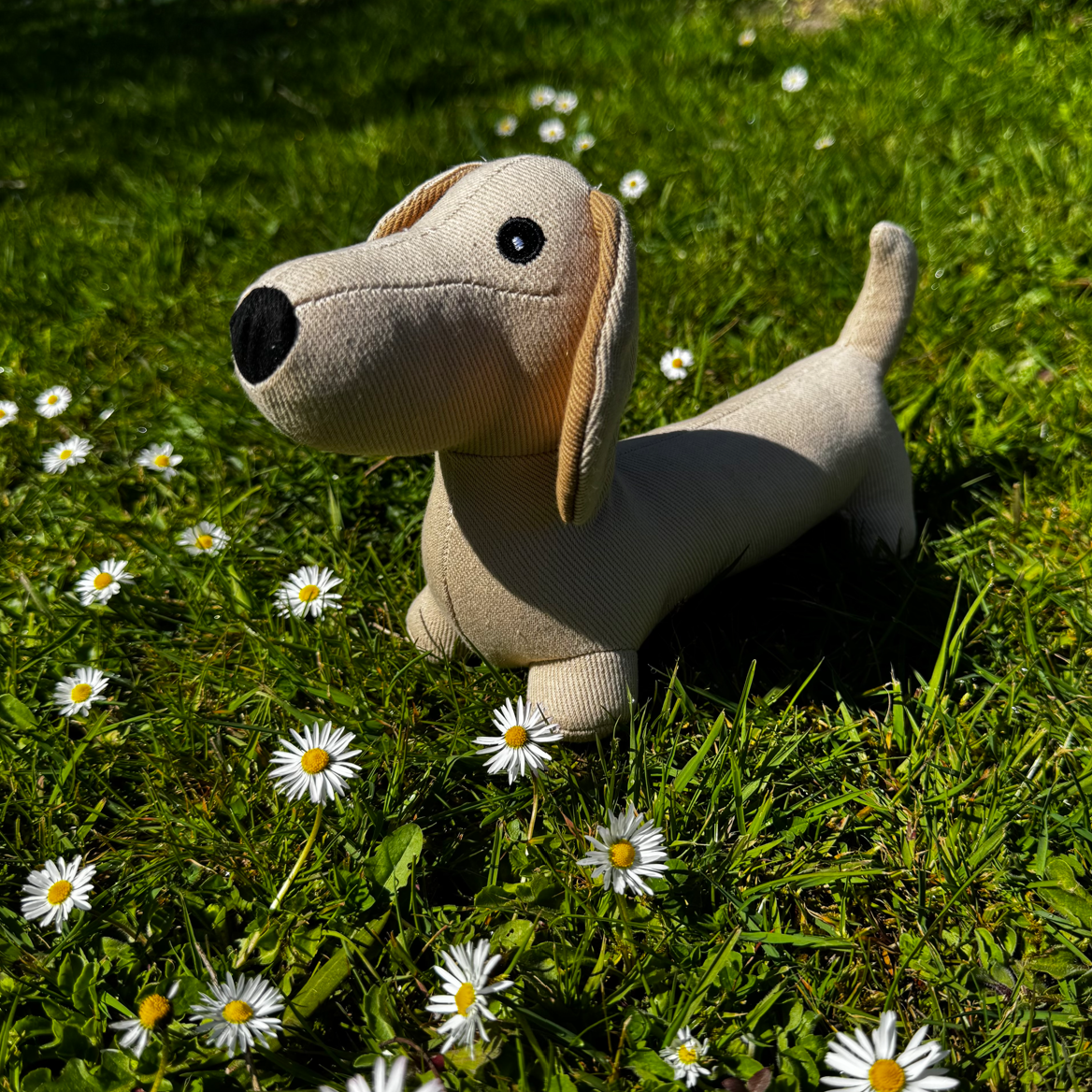 Doudou Nougat – Jouet peluche pour petit Chien – Image 2