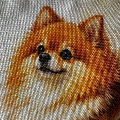 Pochette trousse Pomeranian Spitz "Chipie" – Image 2